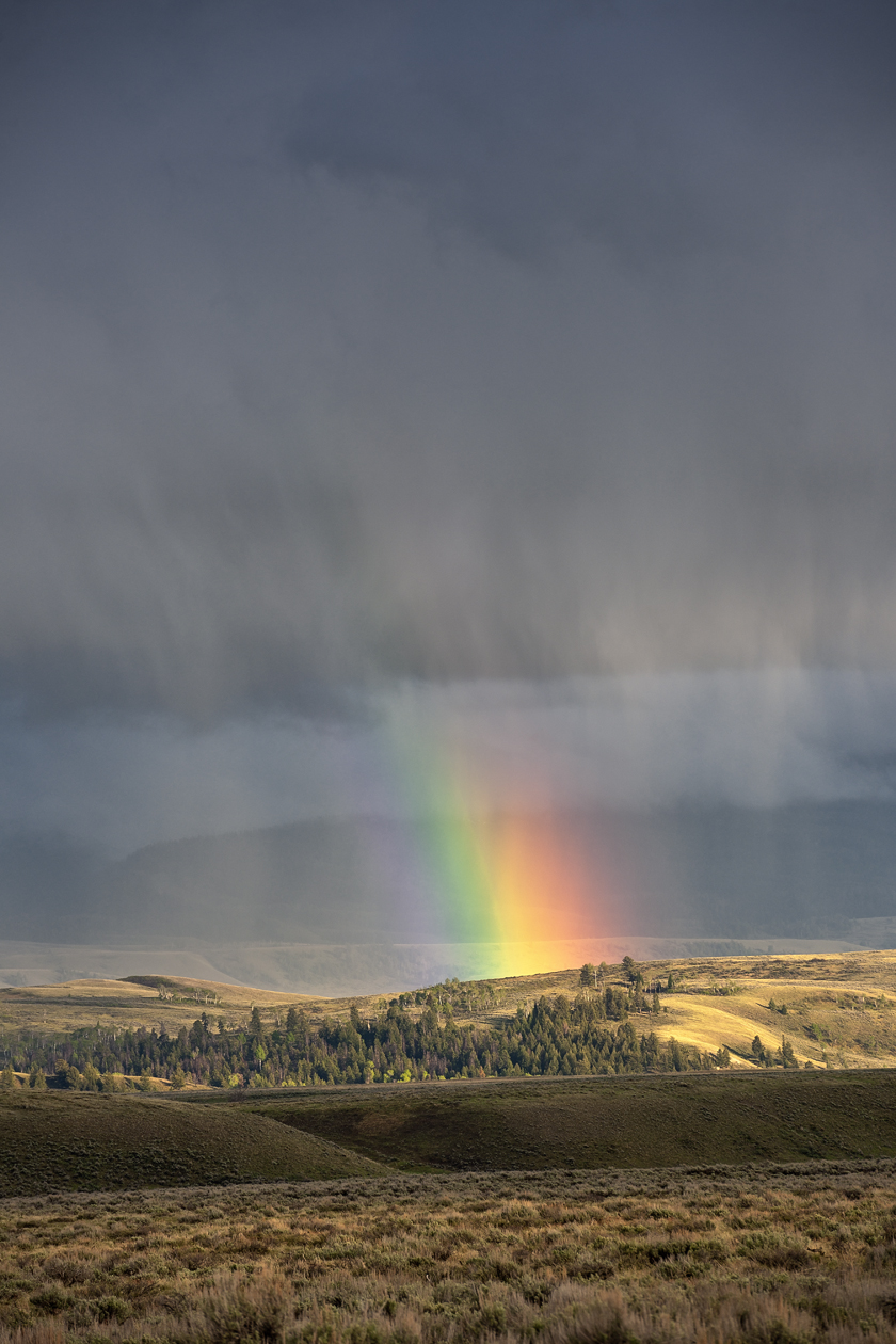 From Out of Nowhere II