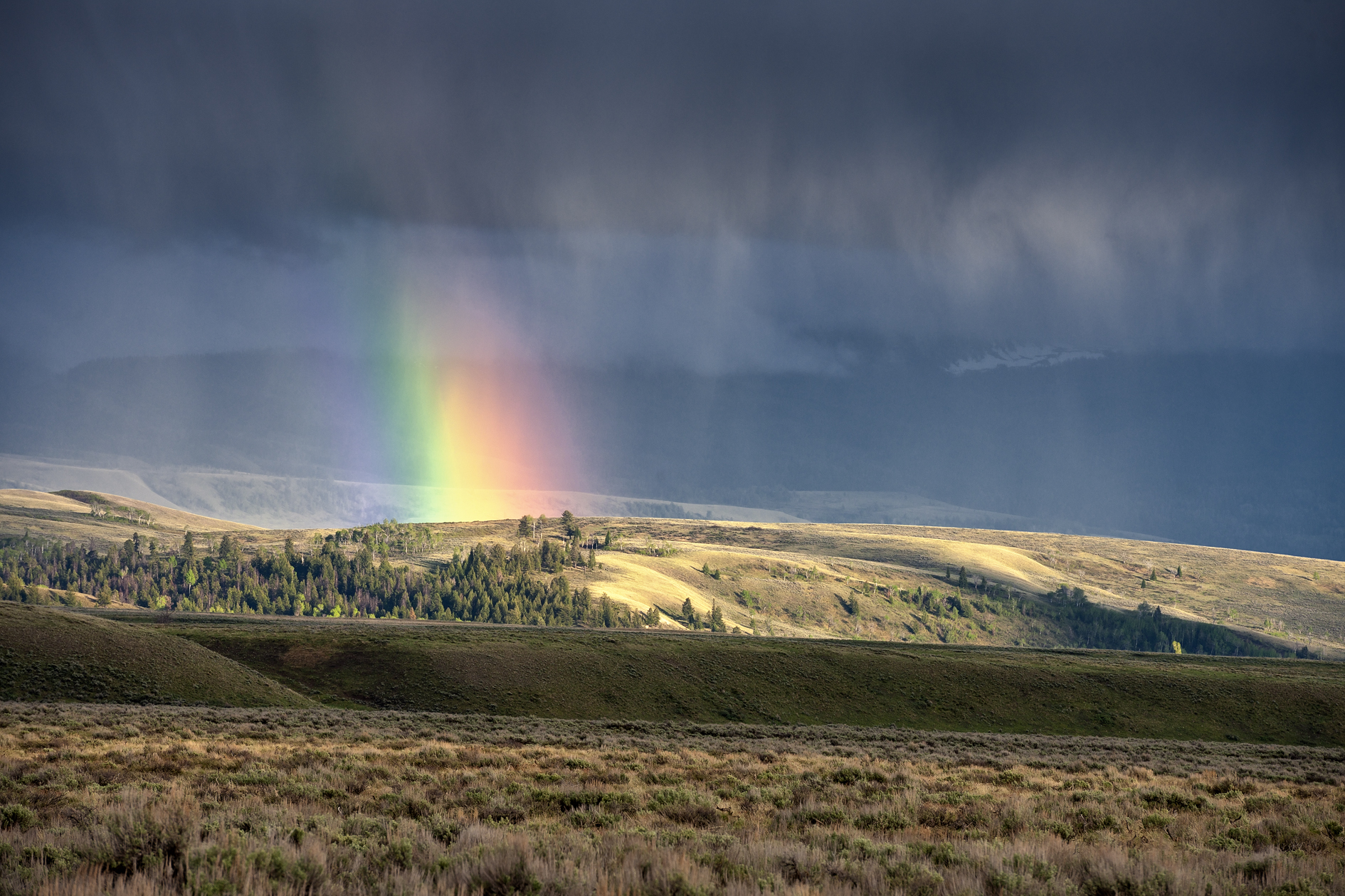 From Out of Nowhere III