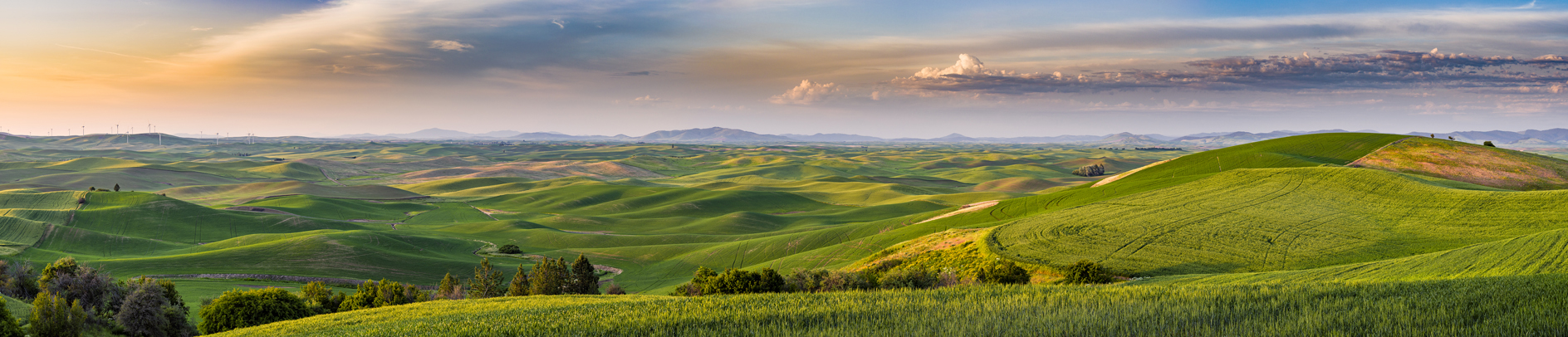 From Steptoe Butte