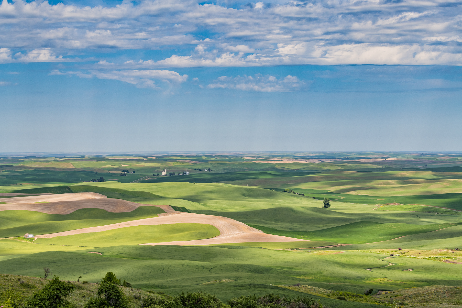 From Steptoe Butte II