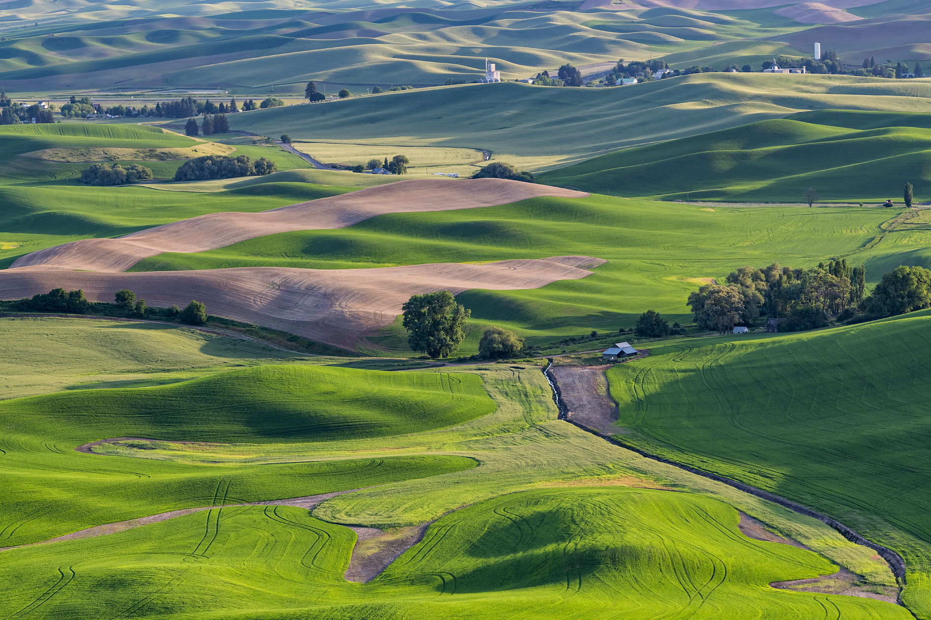 From Steptoe Butte V
