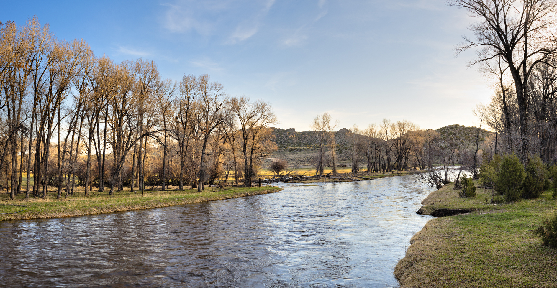 Full of Spring Optimism