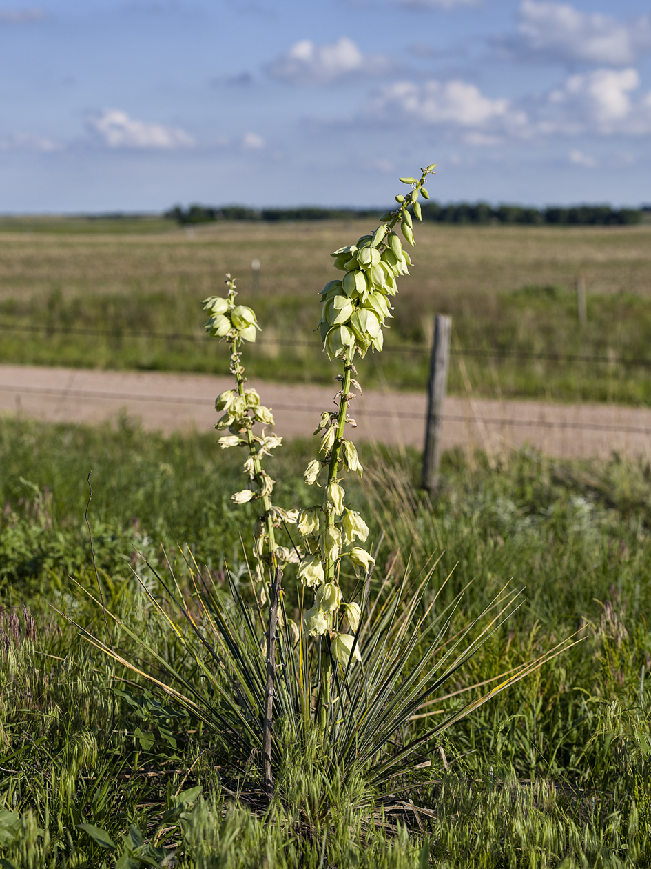 Gaps in the Story II