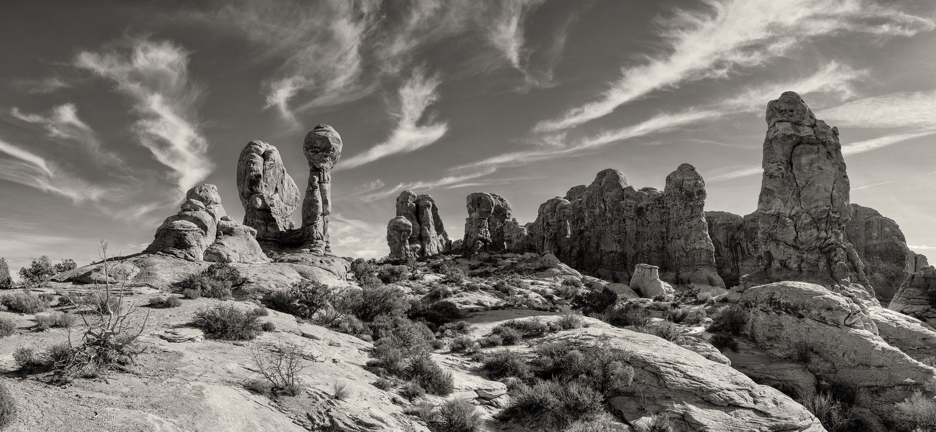 Garden of Eden Morning