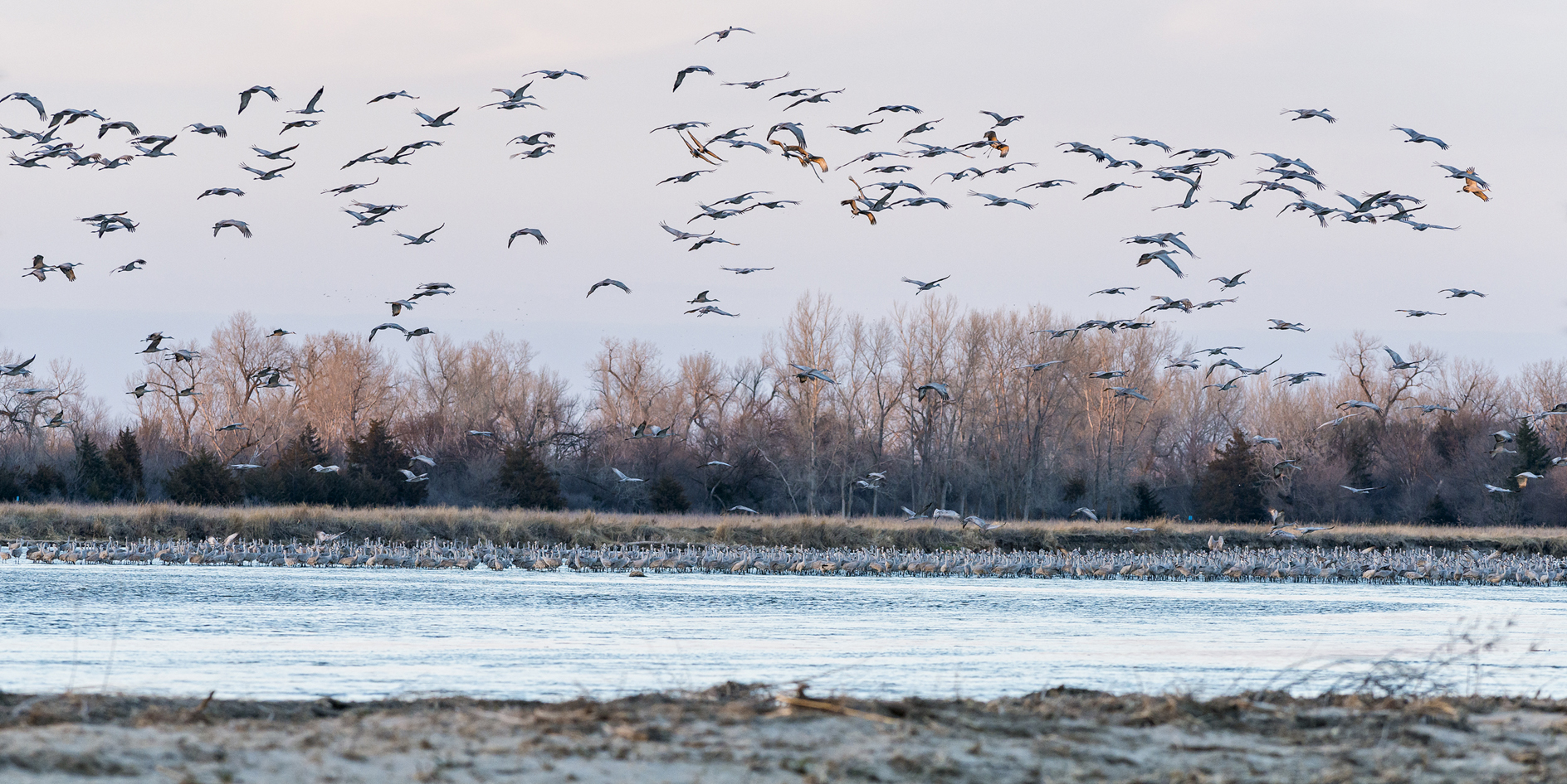 Gathering at the River