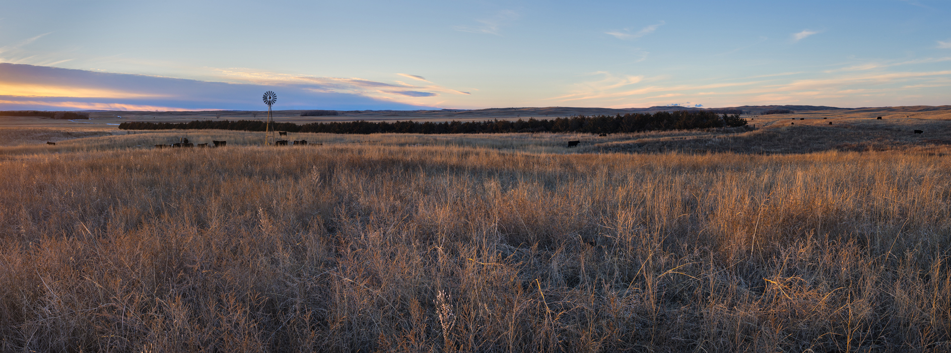 Gathering at the Windmill
