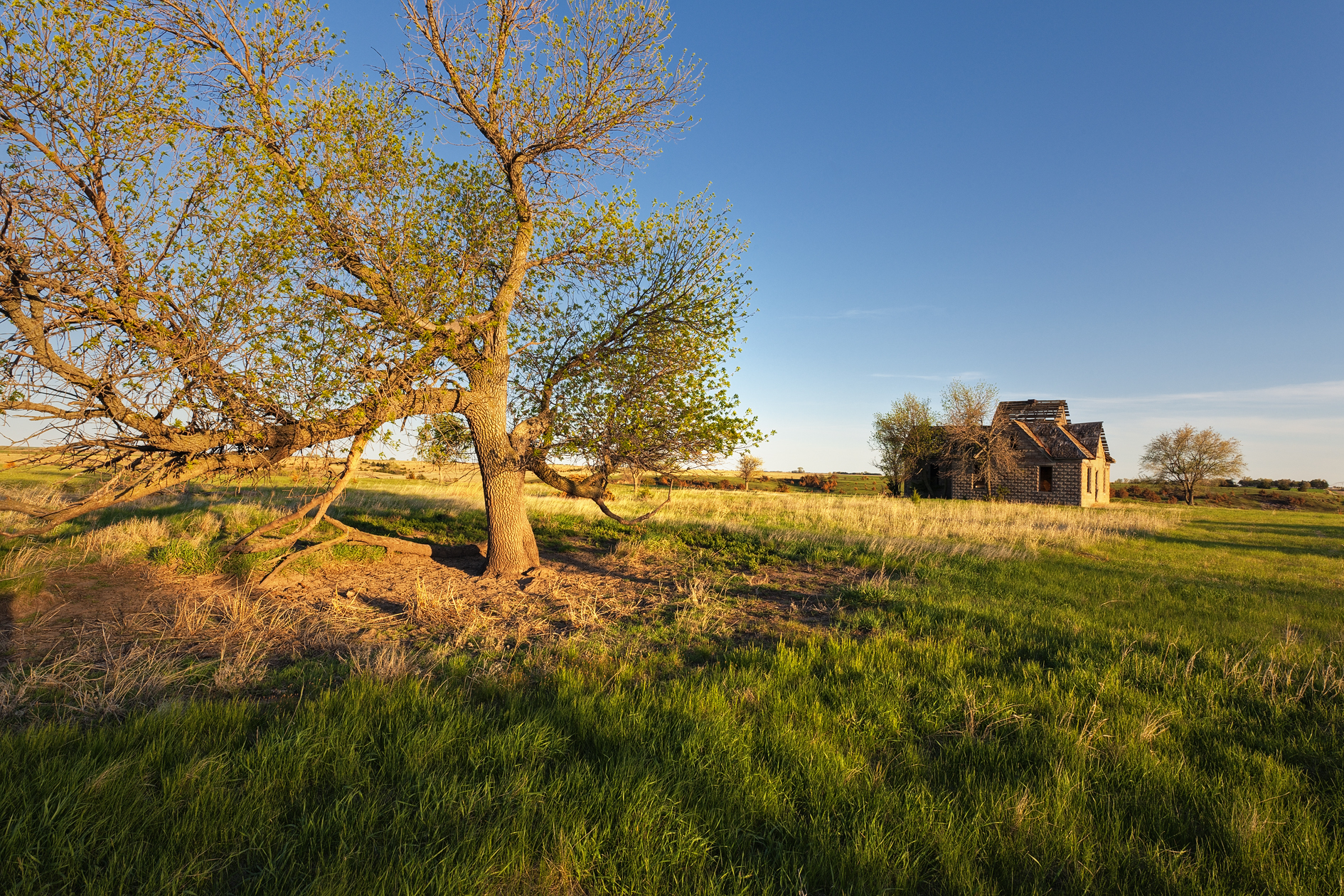 Gathering the Spring Air