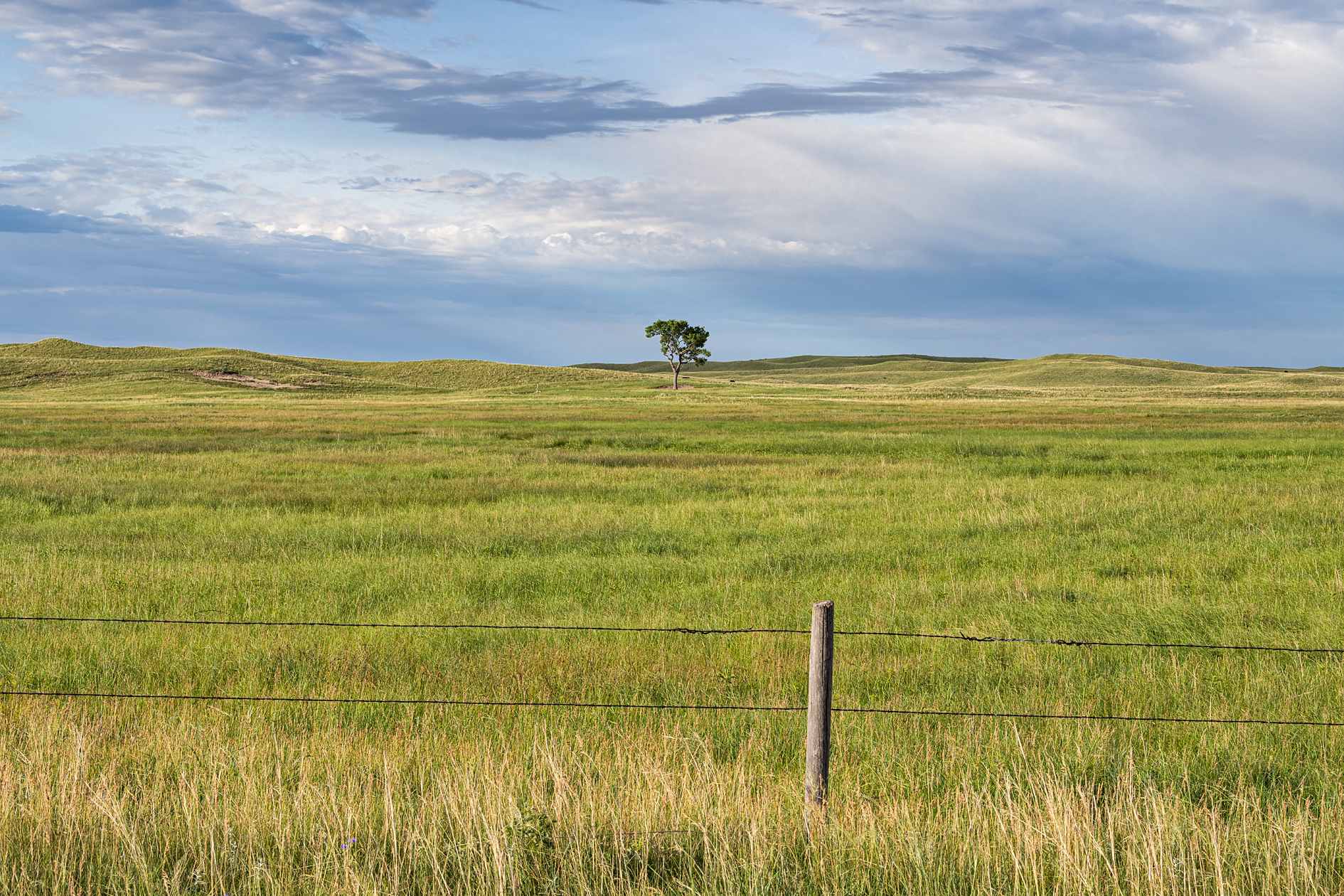 German Valley Morning