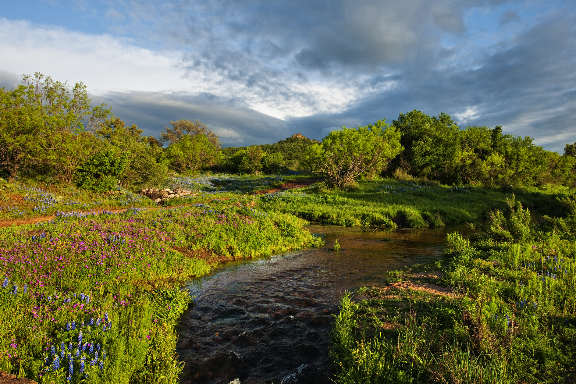 Getting Spring Fever