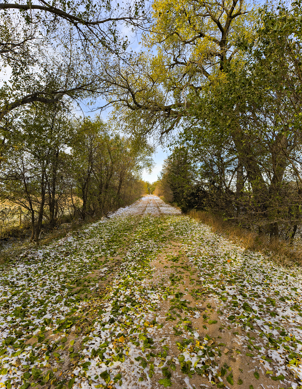 Giving up the Summer