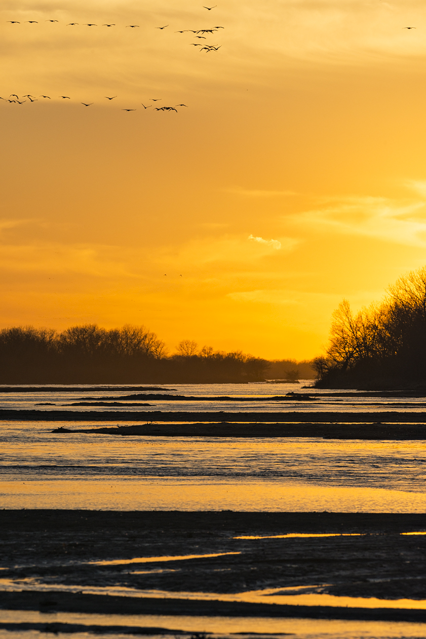 Glow on the Platte III