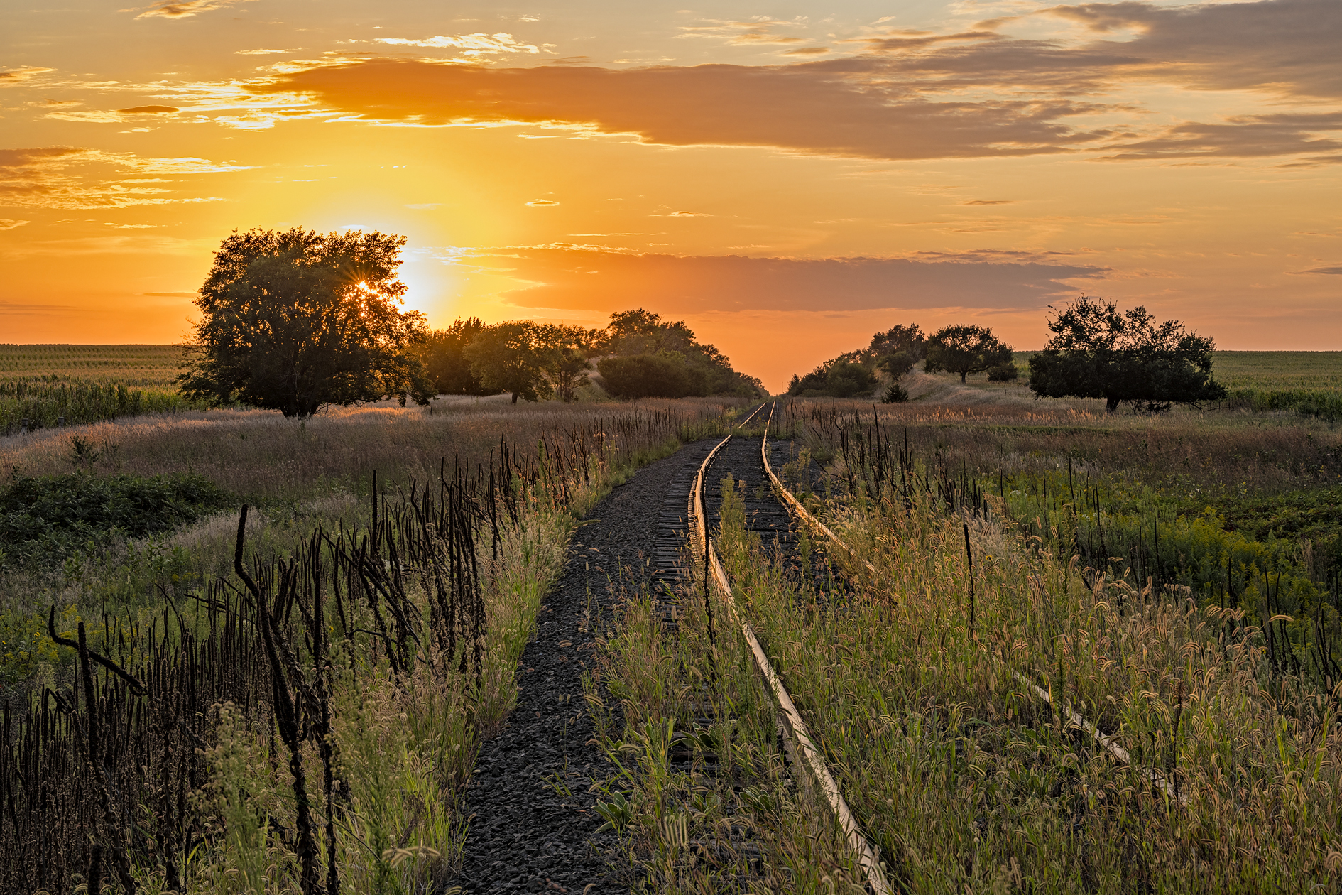 Glow on the Tracks