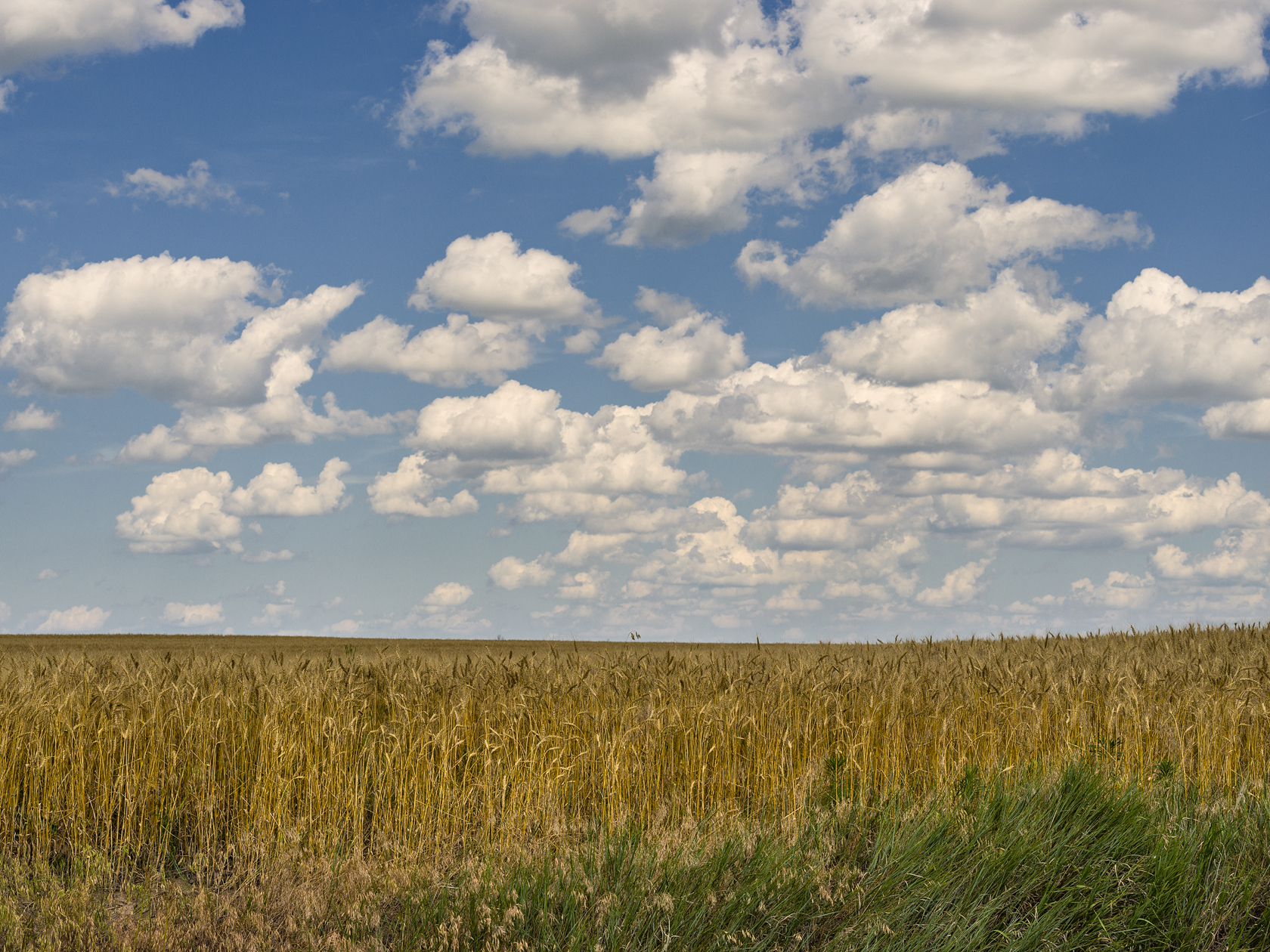 Going with the Grain