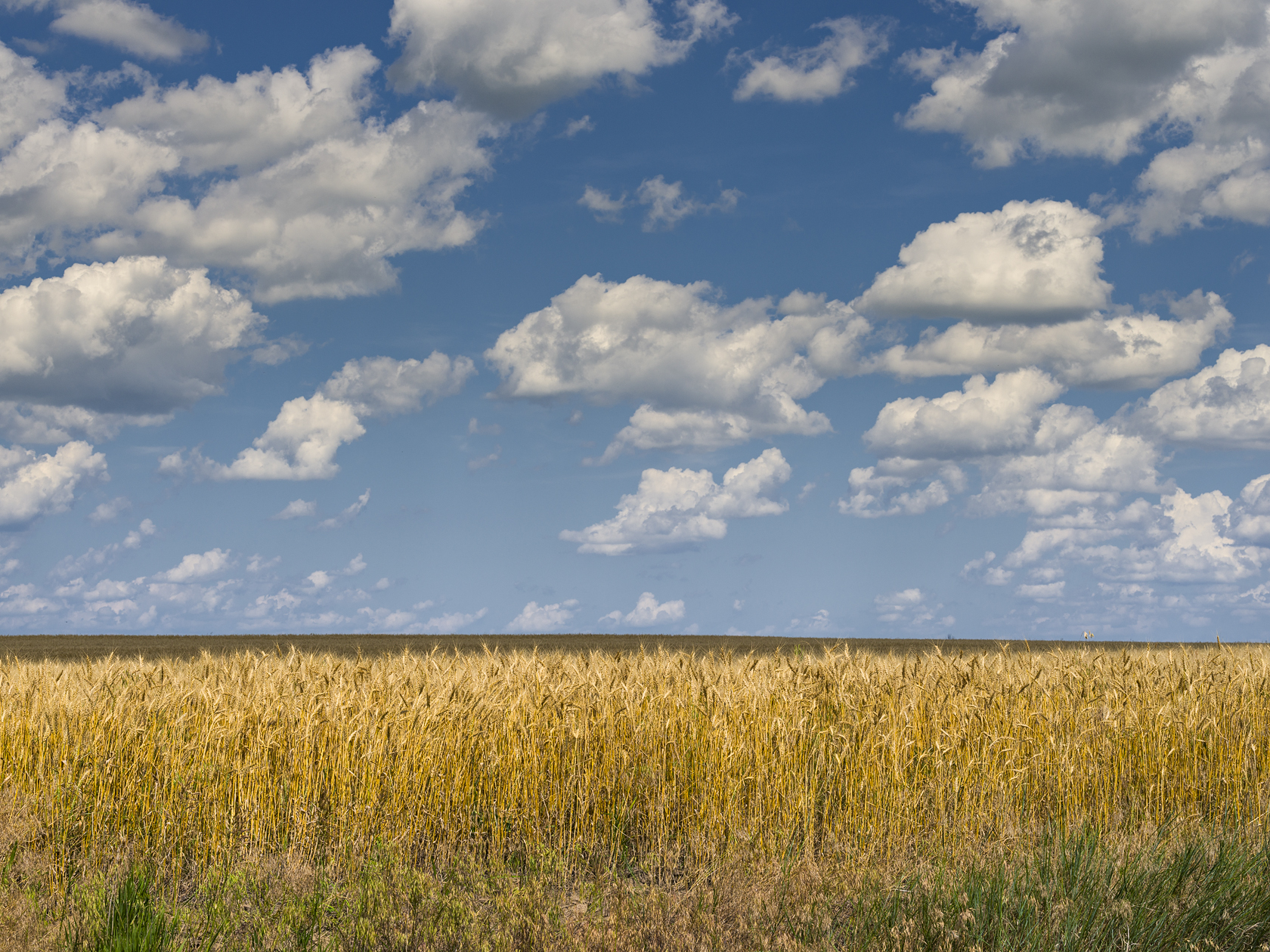 Going with the Grain II