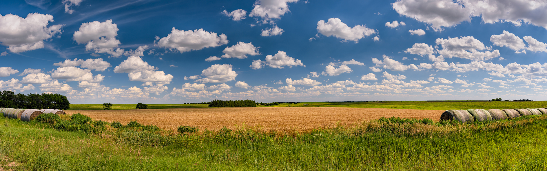 Grainy Day Parade III
