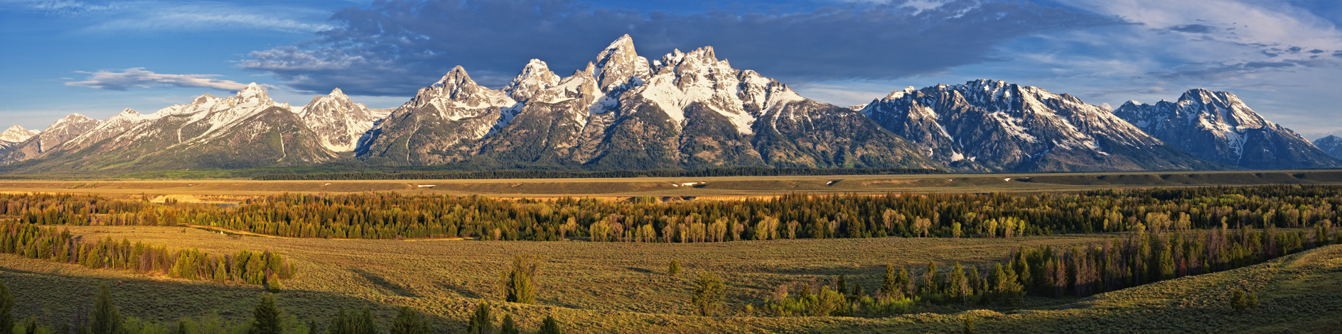 Grand Teton Vista
