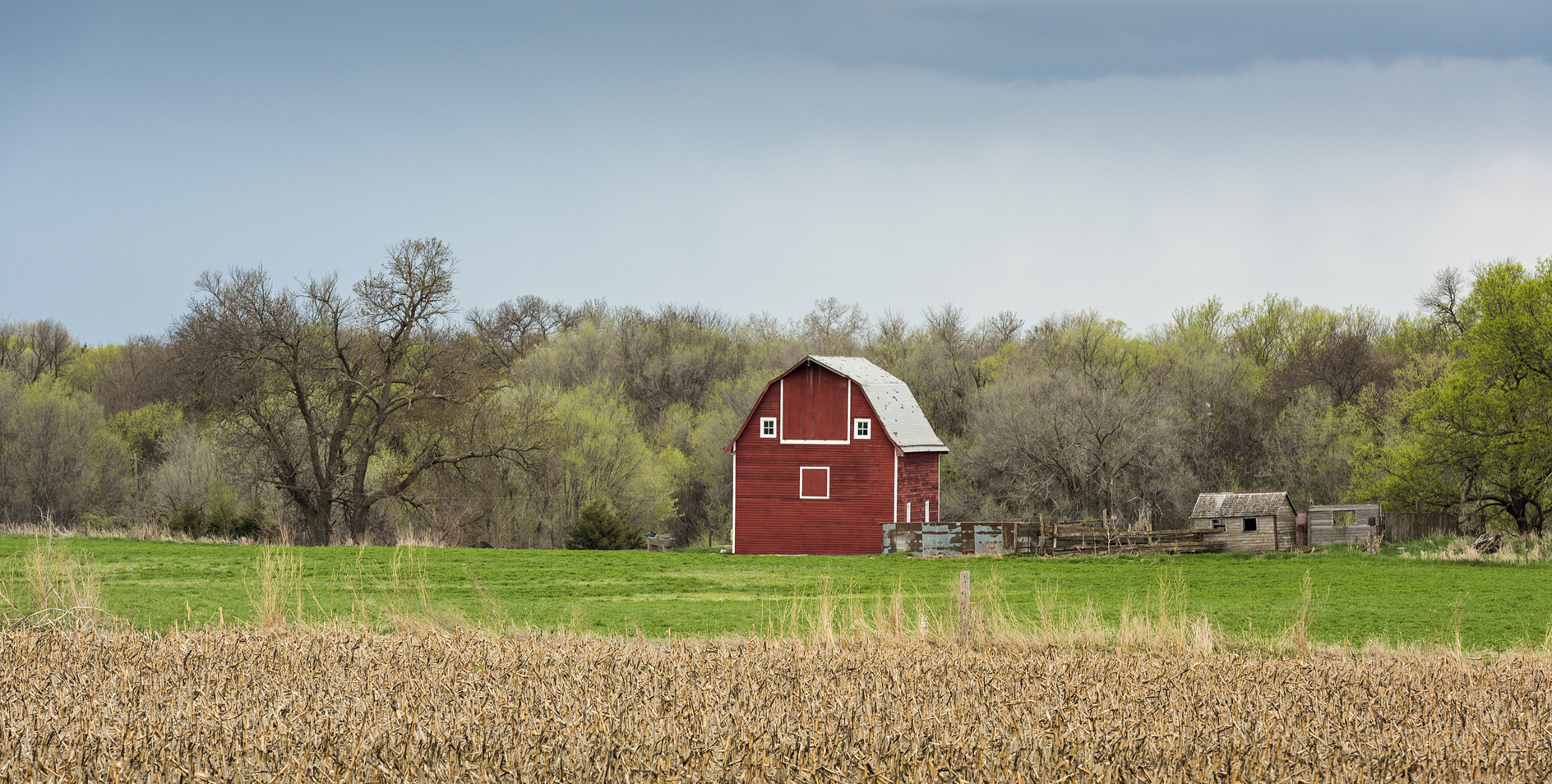 Grandpas Smiley Face II
