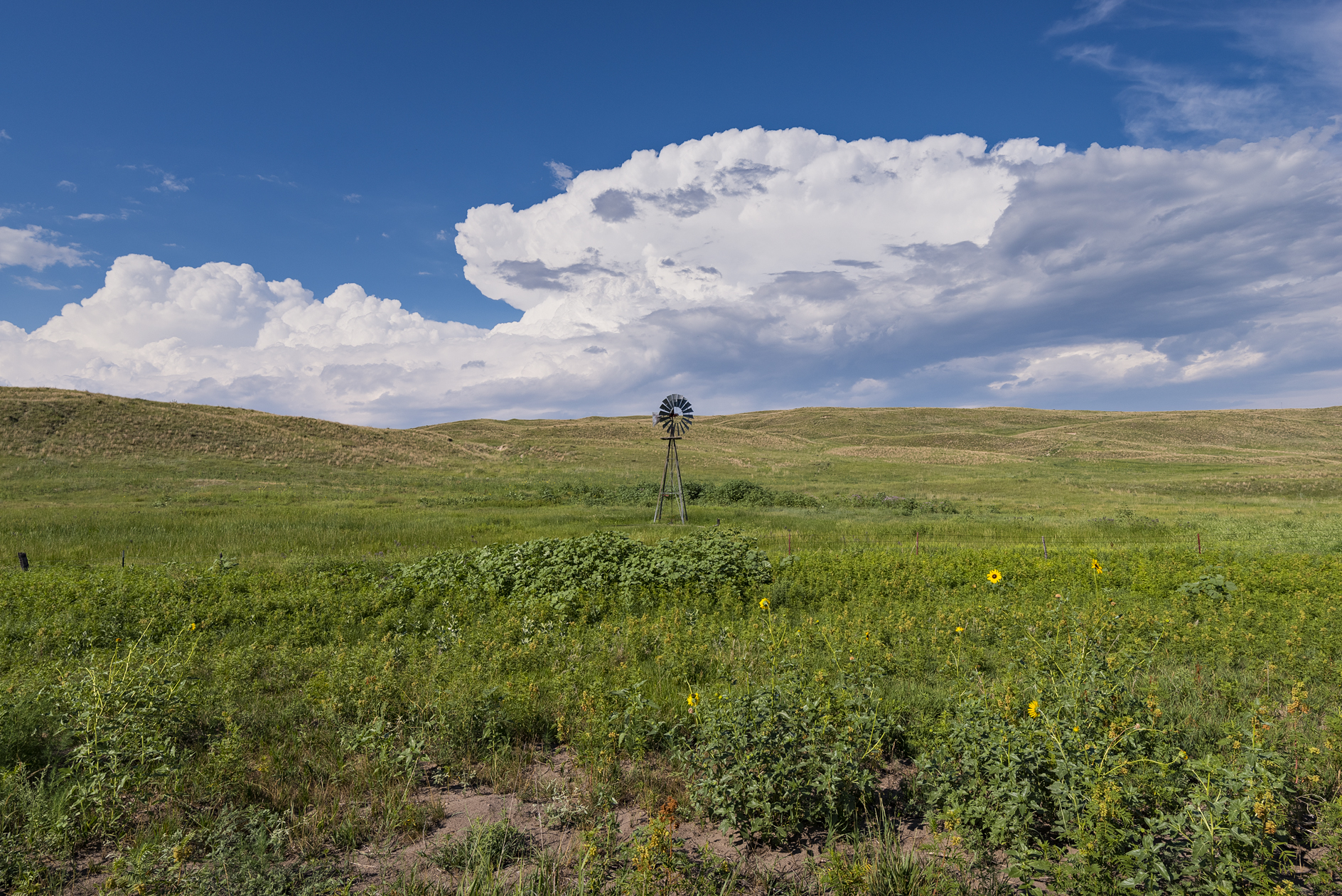 Grant County Afternoon