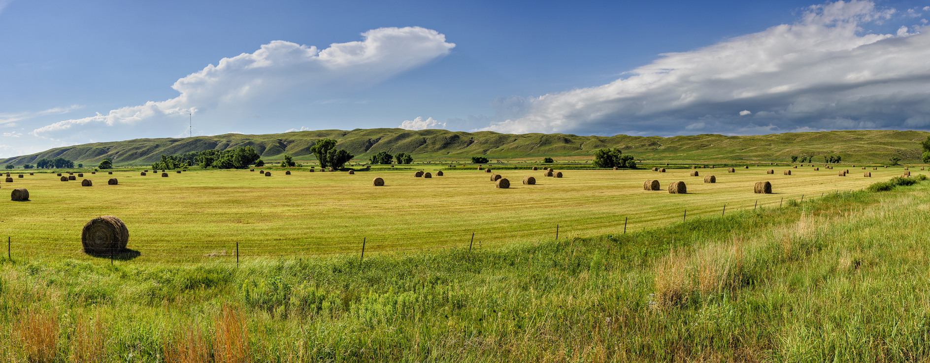 Grant County Afternoon II