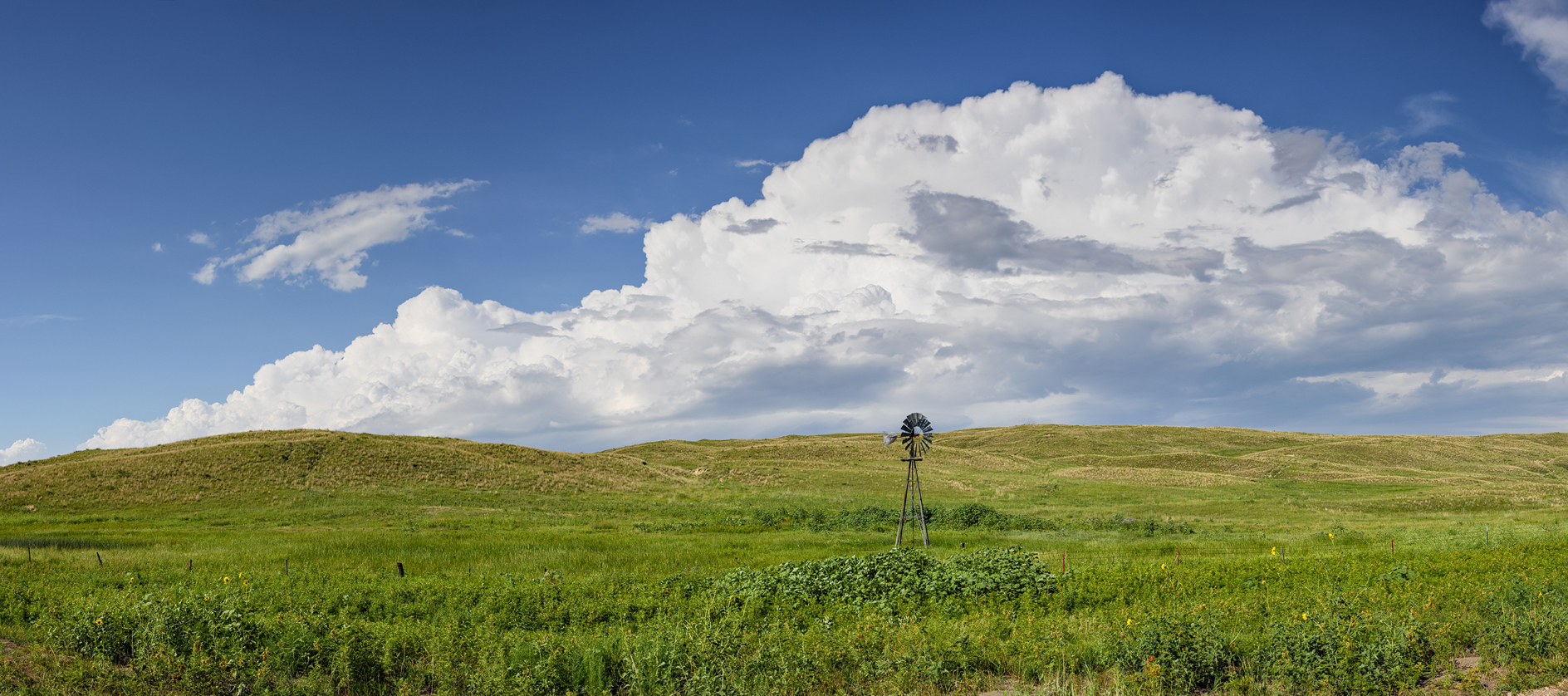 Grant County Afternoon IV