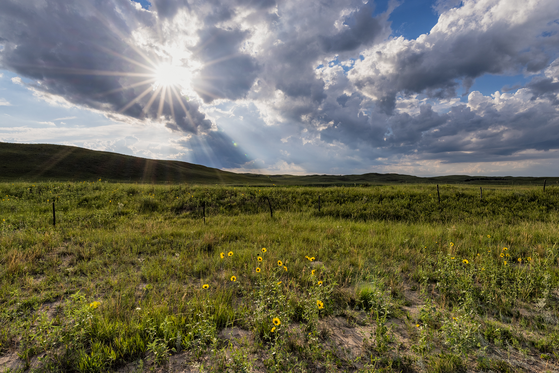 Grant County Evening