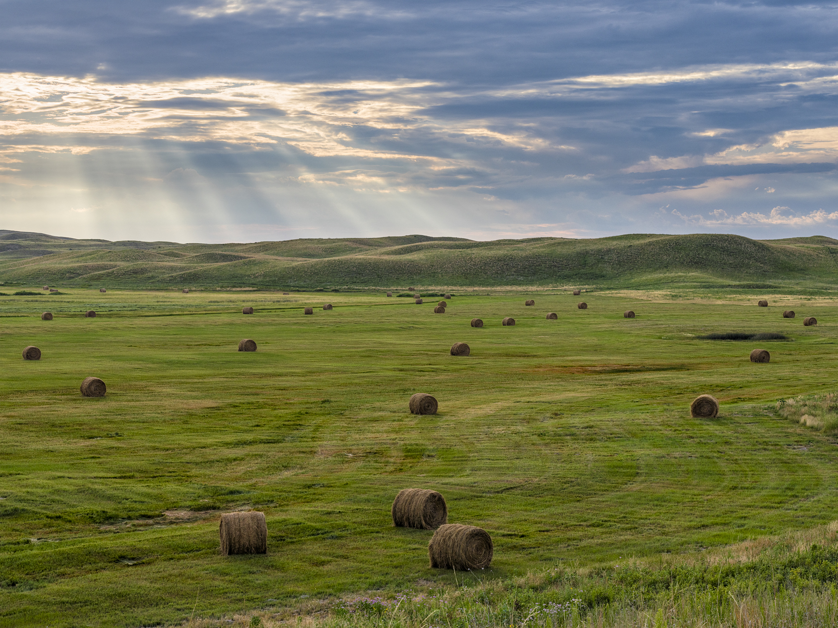Grant County Evening II