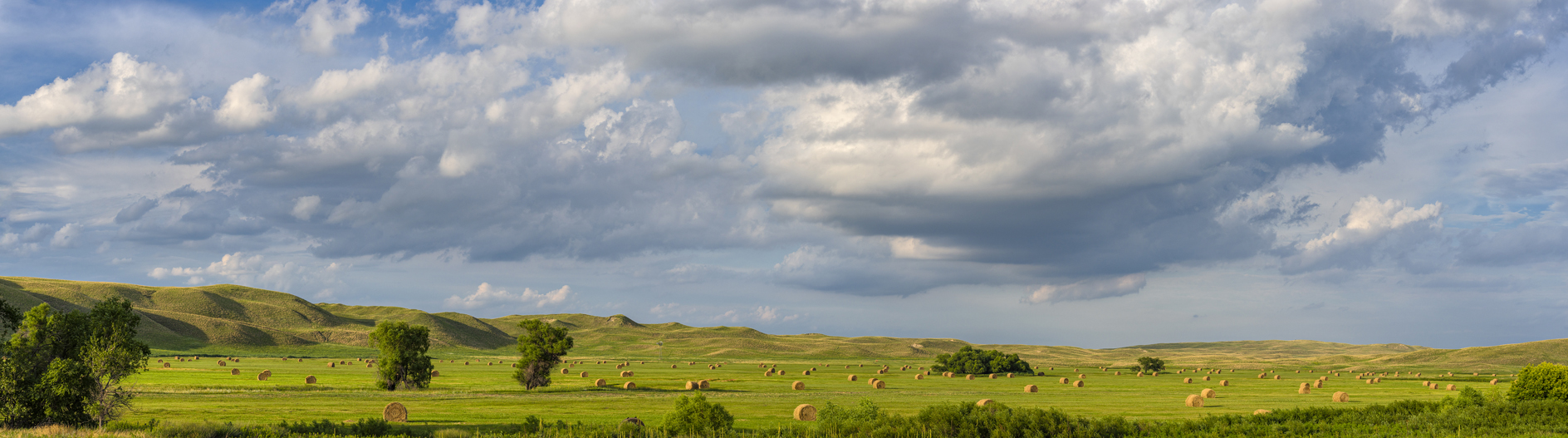 Grant County Evening III