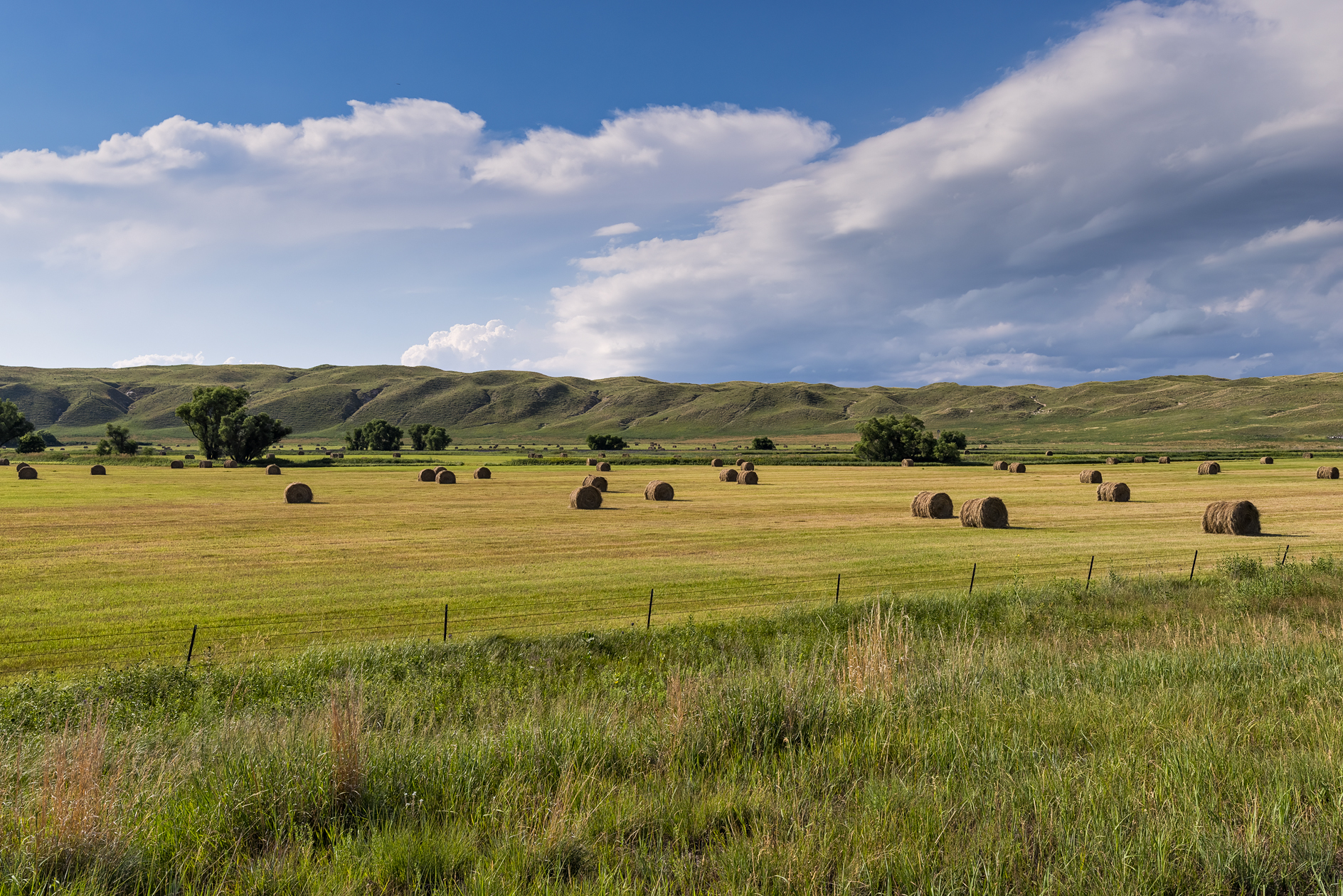 Grant County Evening IV