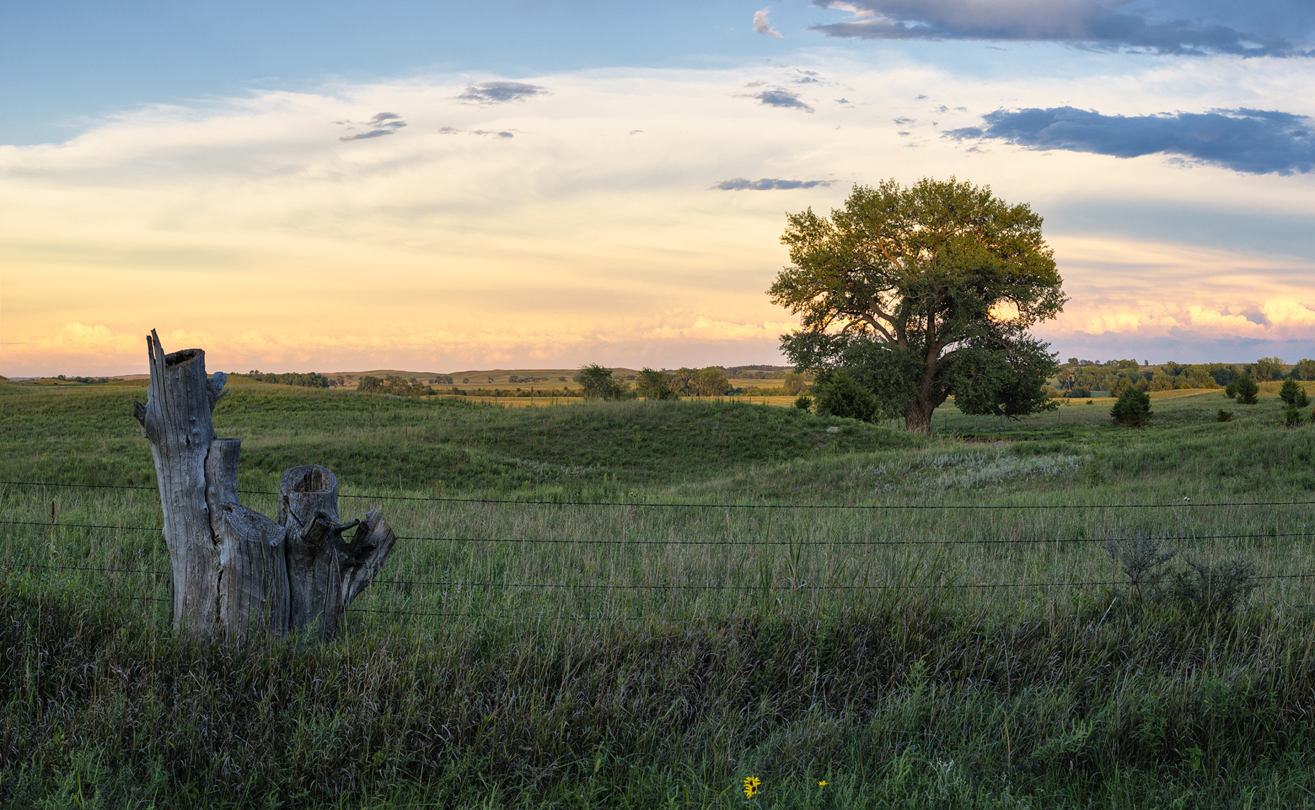 Gravel Road Evening