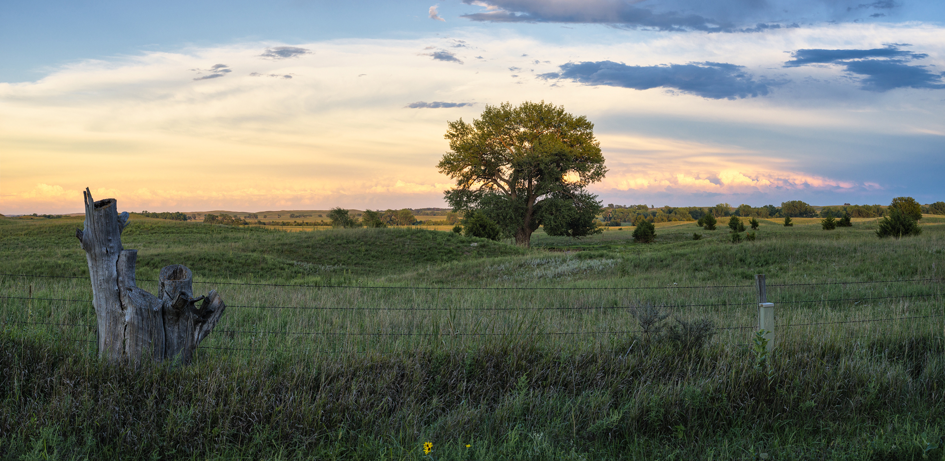 Gravel Road Evening II
