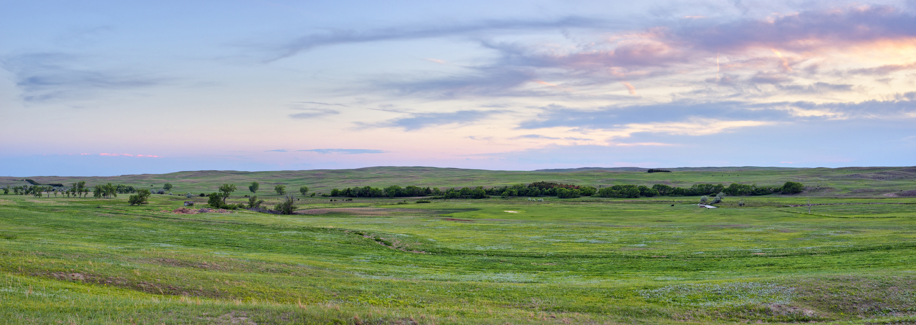 Green Meadow Evening