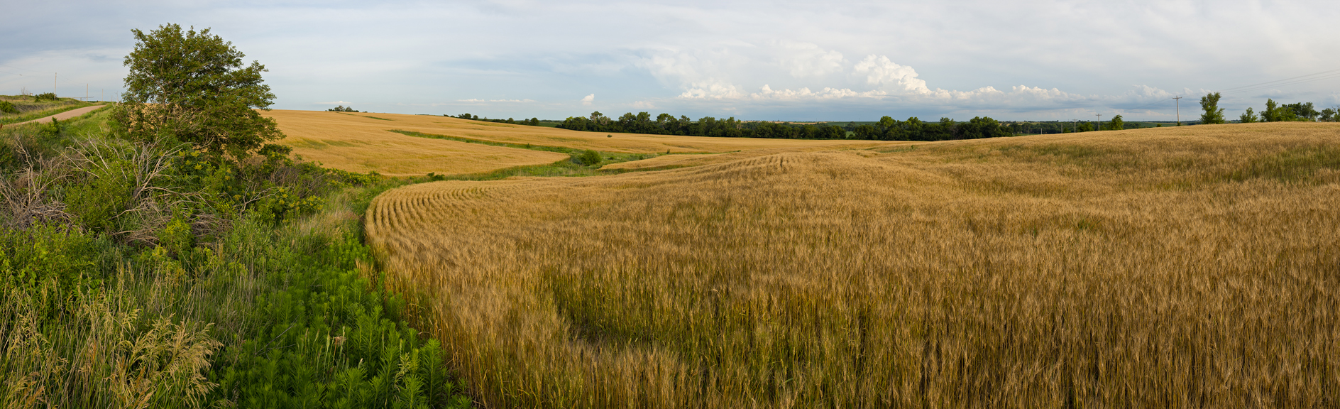 Had Some Rough Edges