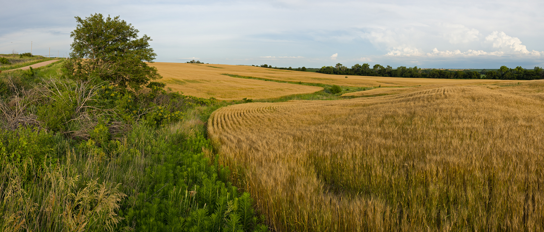 Had Some Rough Edges II