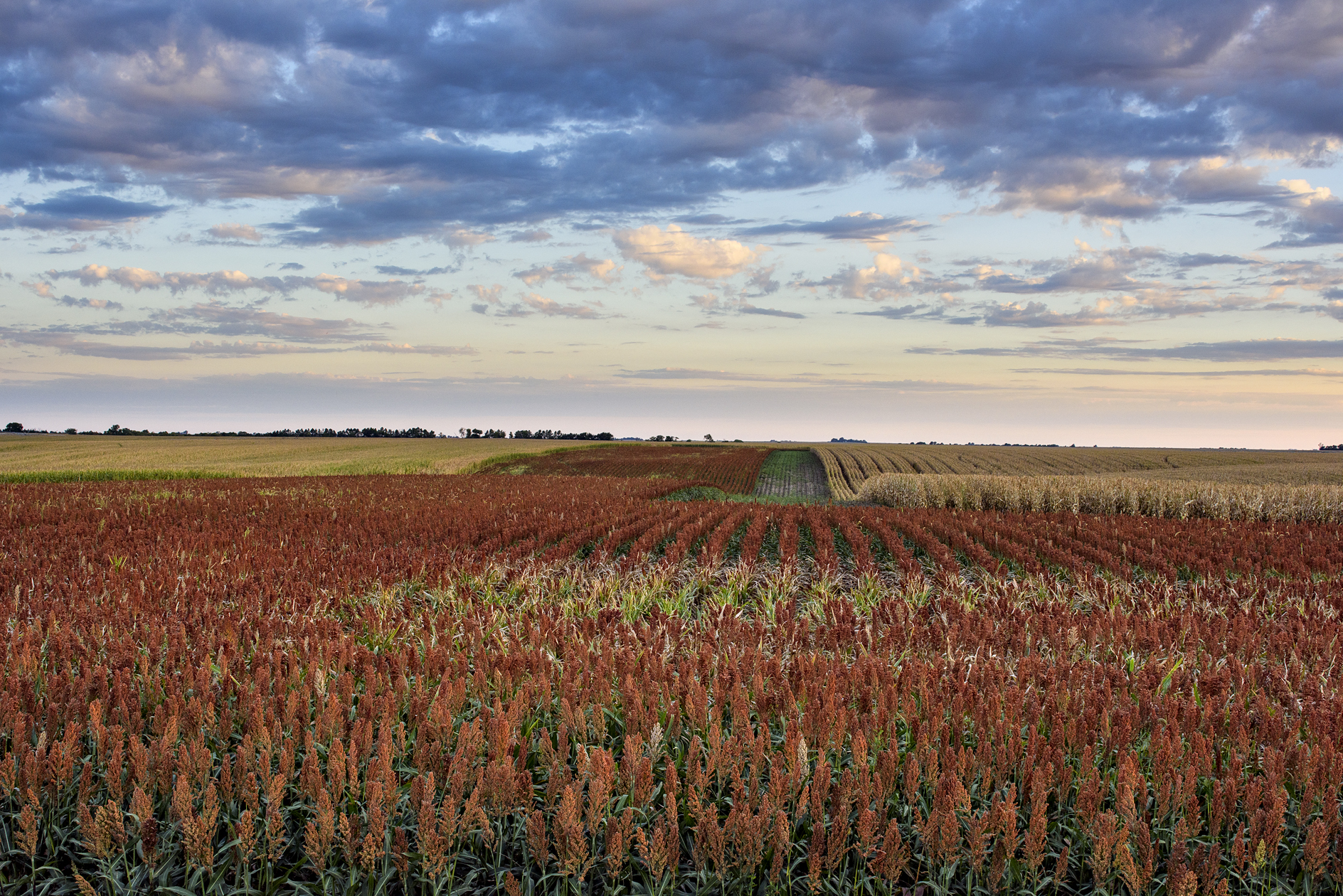 Hamilton County Evening