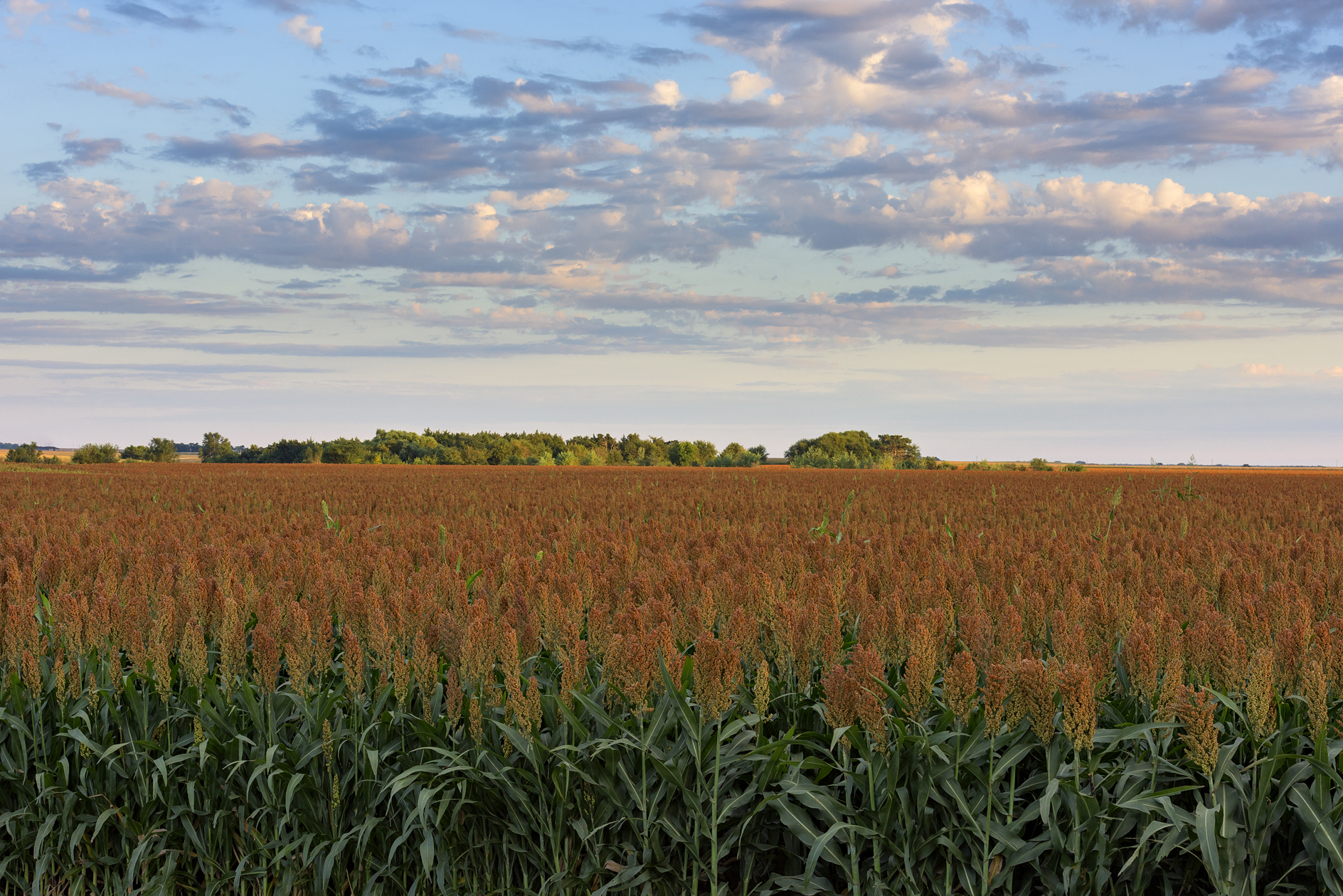 Hamilton County Evening II