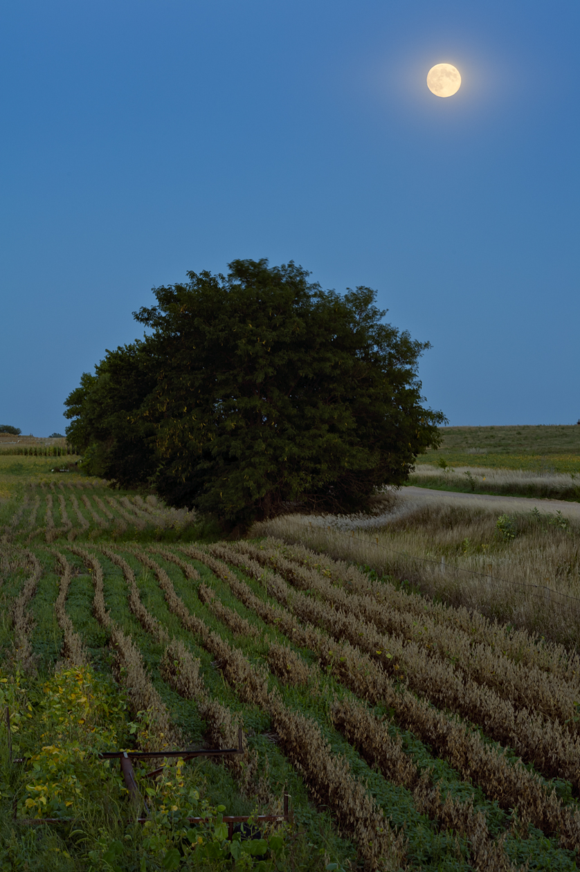 Hamilton County Moonrise