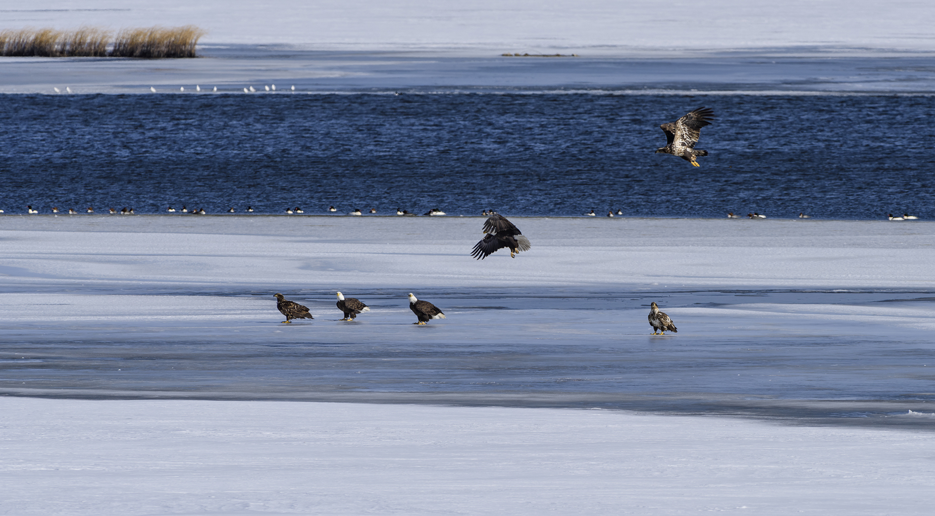 Hard Water Hangout IV