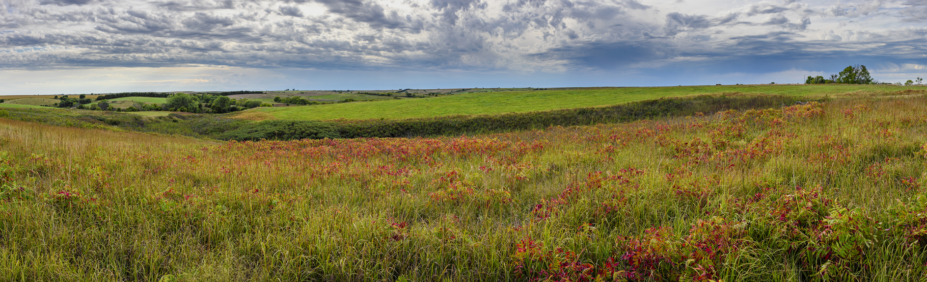 Harlan County Afternoon