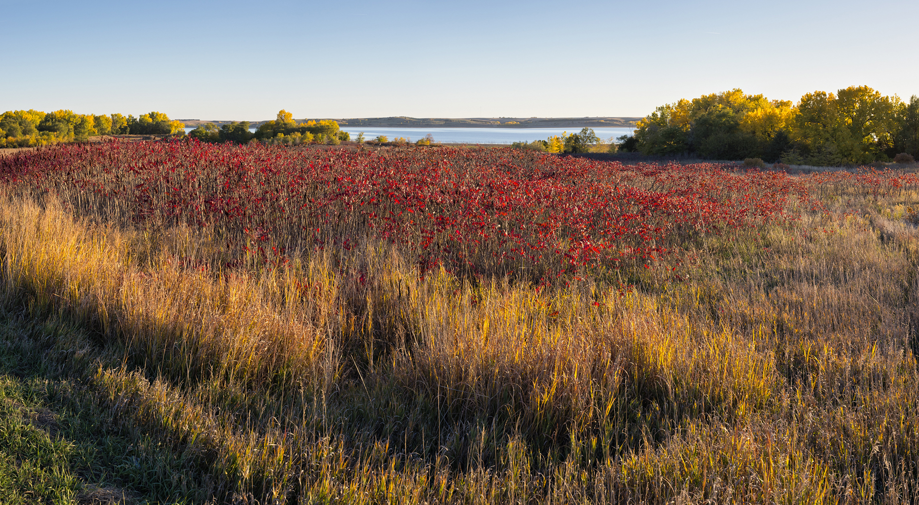Harlan County Autumn