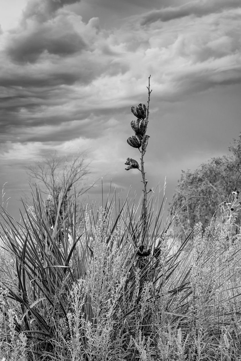 Harlan County Evening