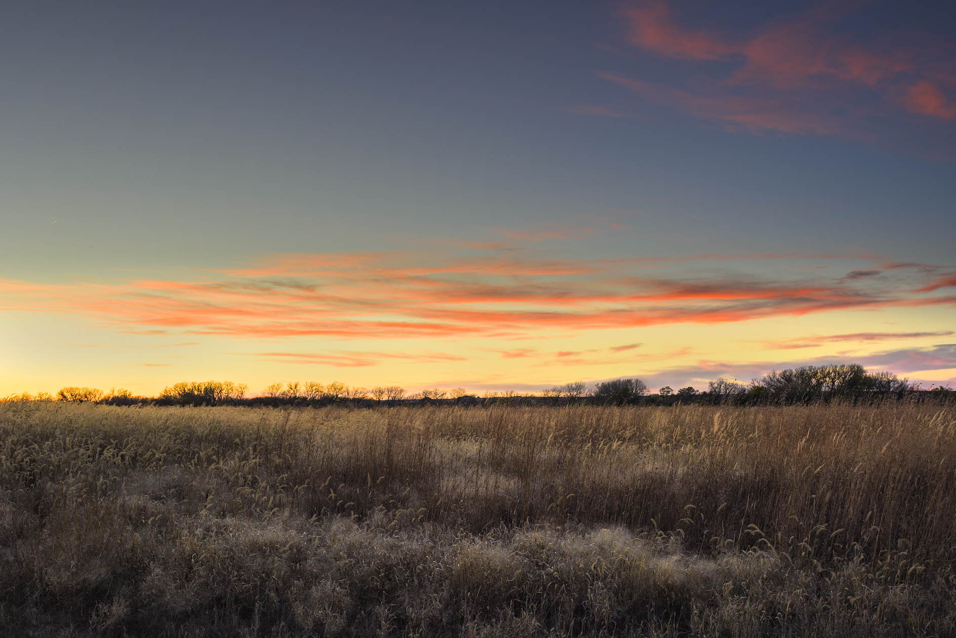 Harlan County Evening IV