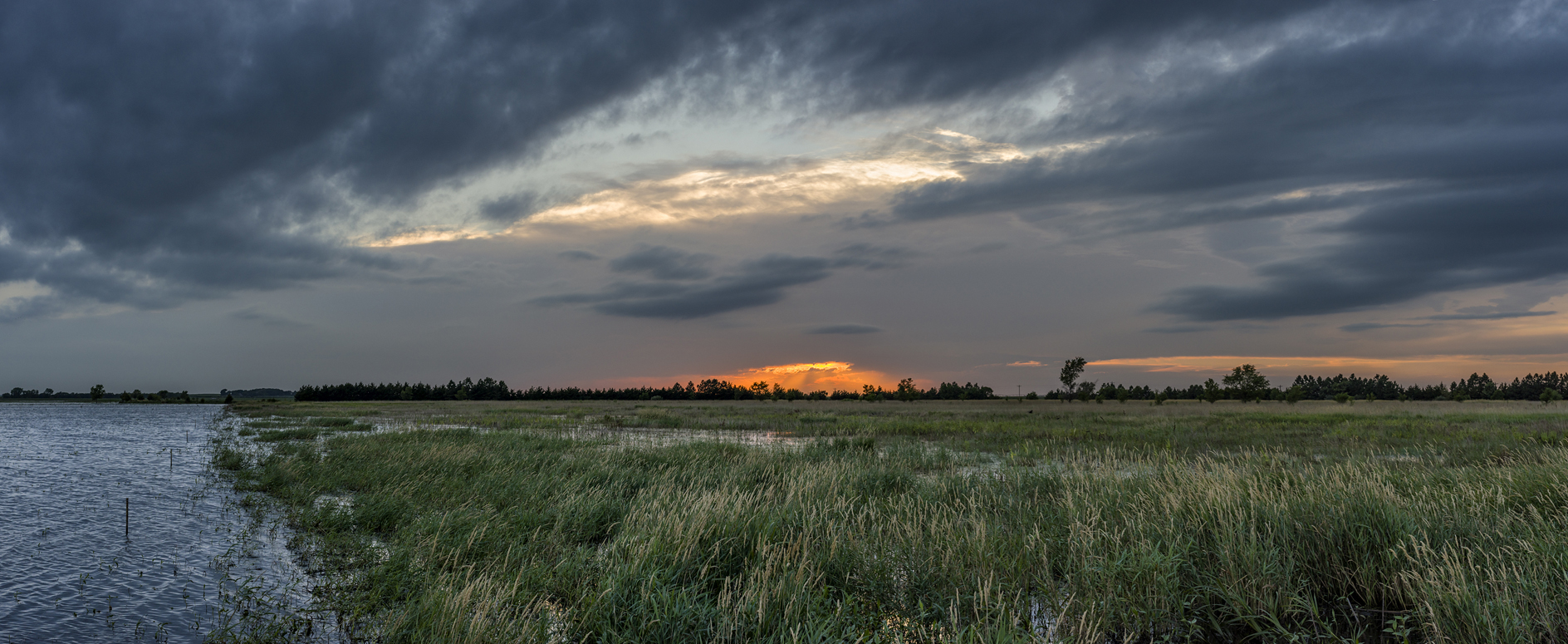 Harvard Marsh Evening