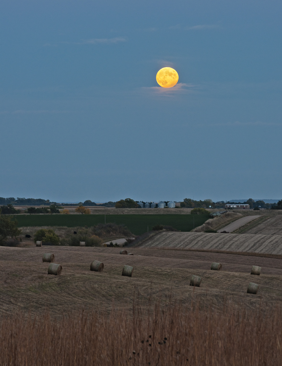 Harvest Moon