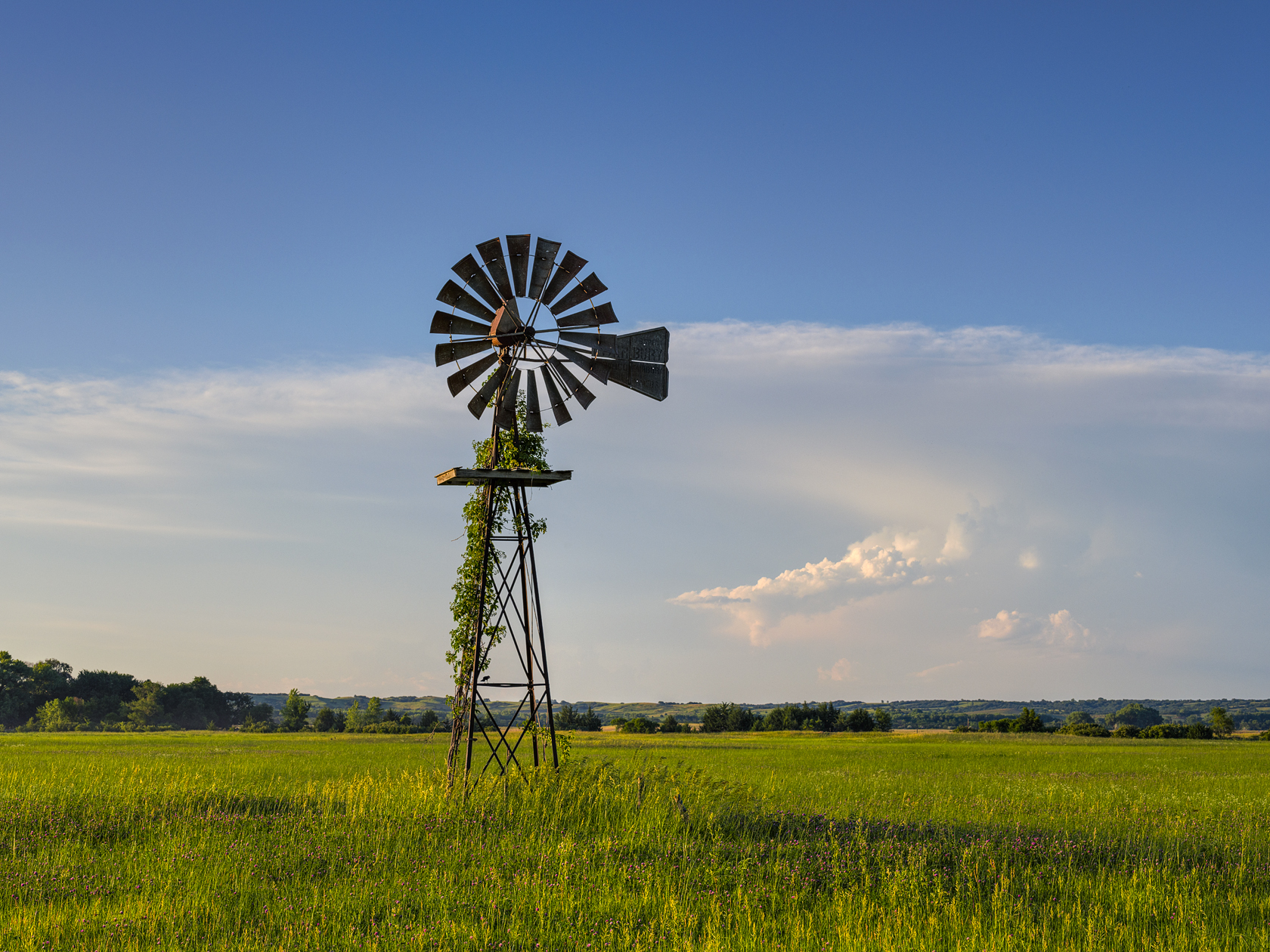 Having a Vine Friend