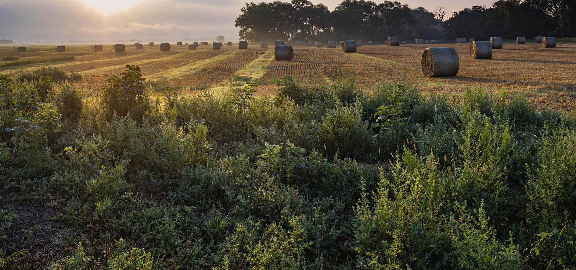 Hay Bale Morning II