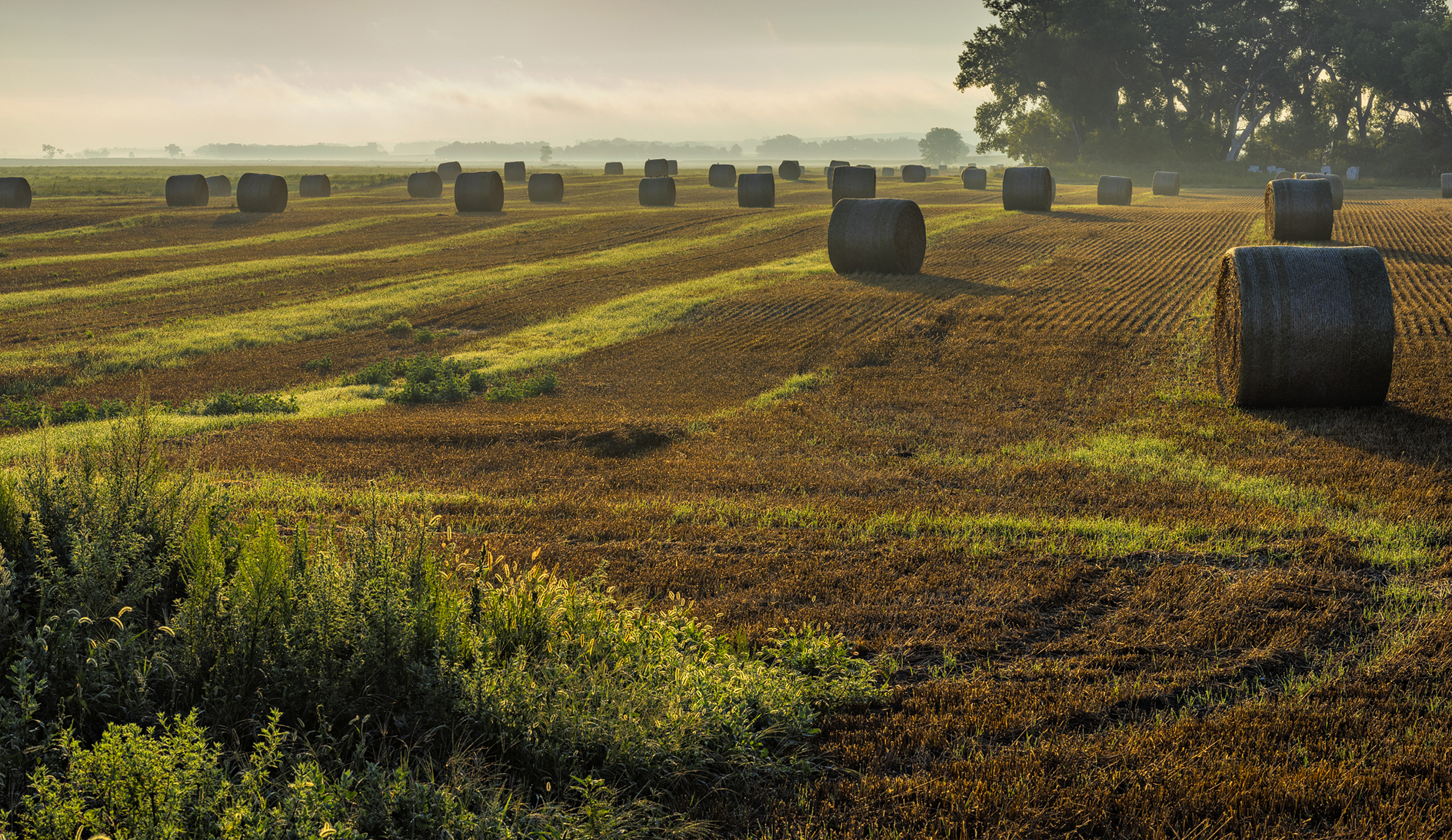 Hay Bale Morning III