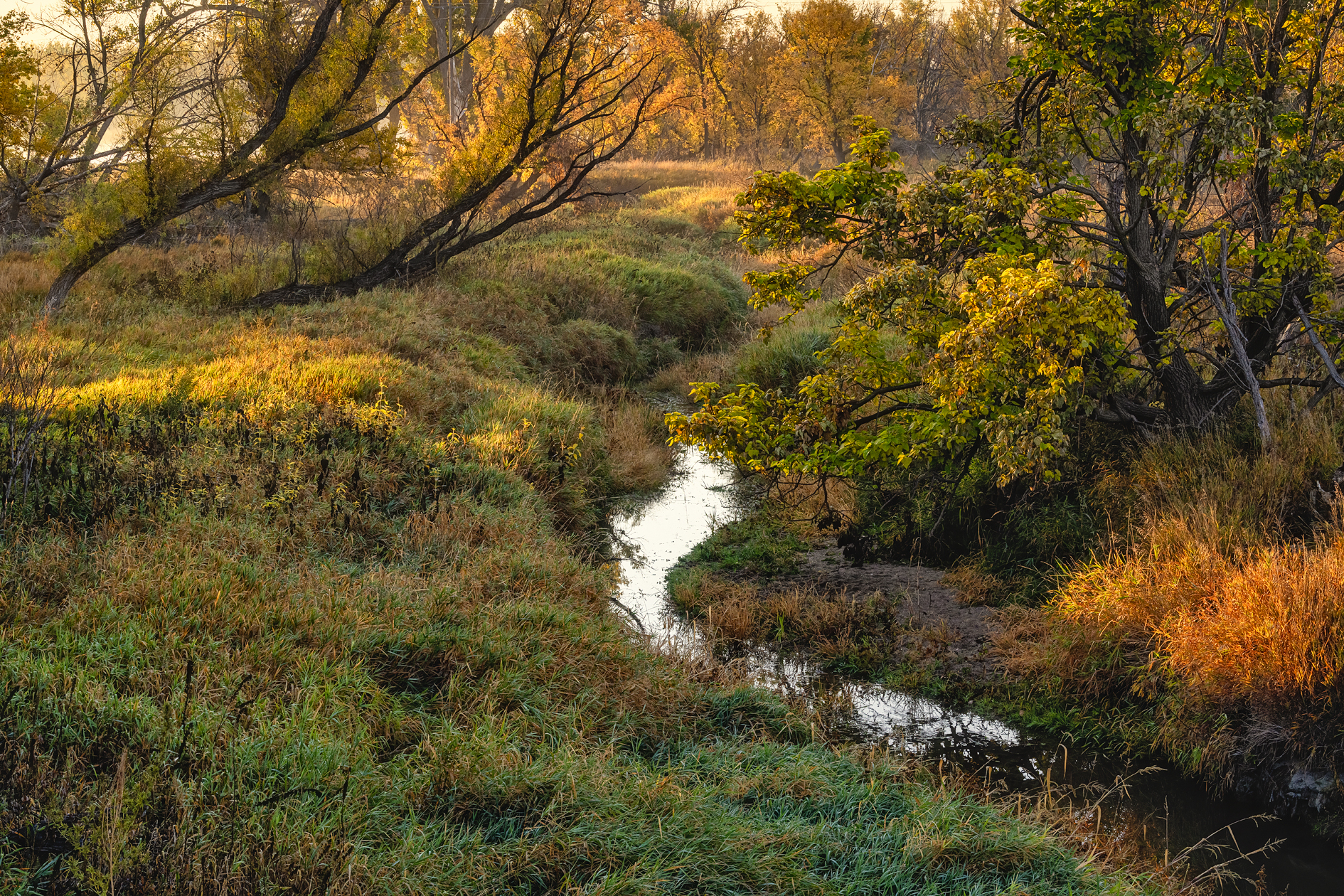 Hayes County Morning