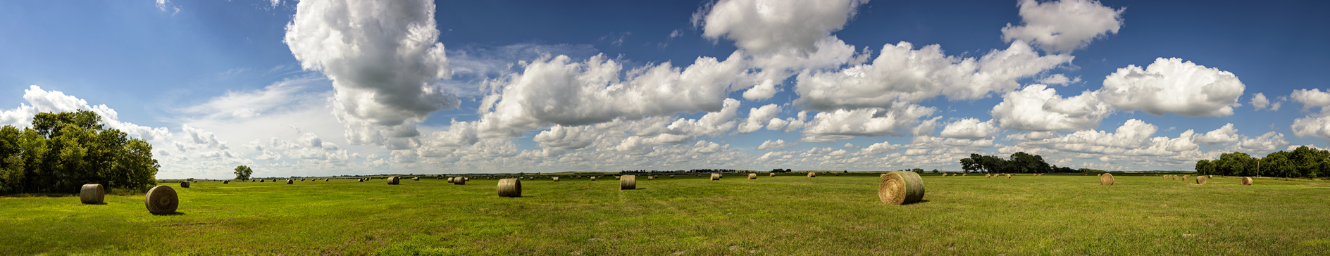 Hayfield Afternoon II