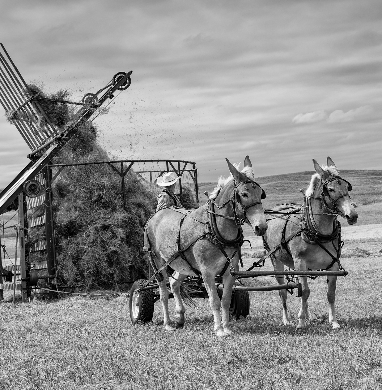 Haystack Afternoon II