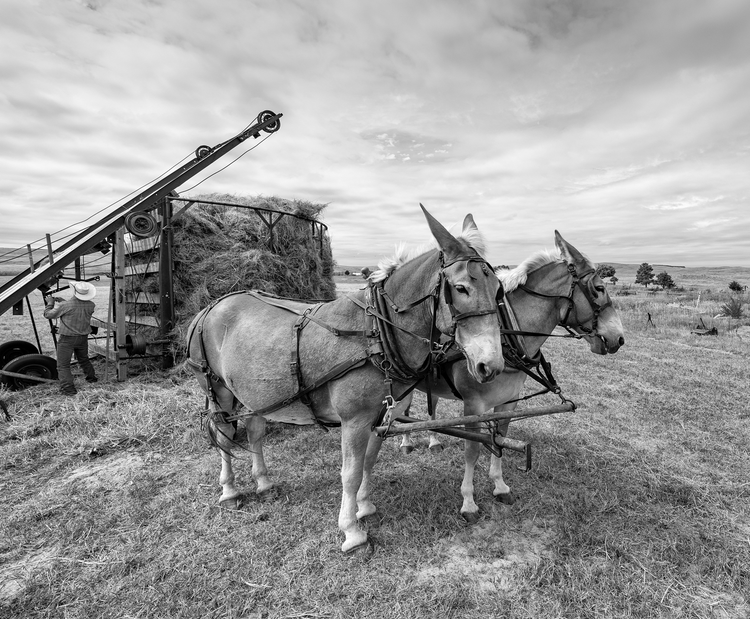 Haystack Afternoon IV